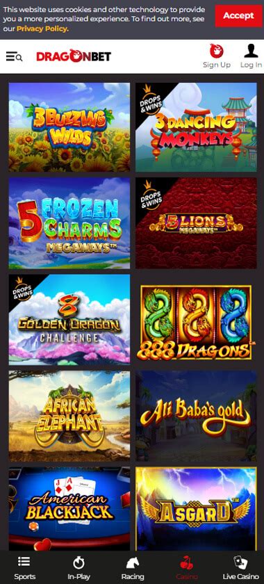 DragonBet Casino Review 2024 .